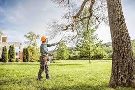 How Our Tree Care Process Works  in  Durand, WI